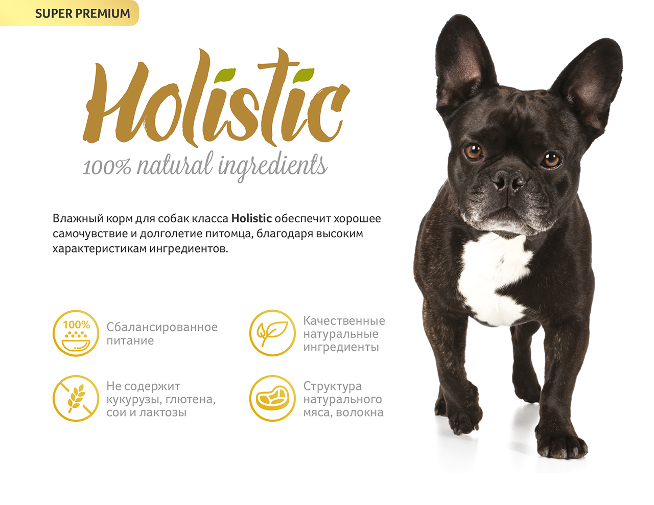 Holistic